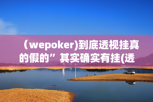 （wepoker)到底透视挂真的假的”其实确实有挂(透视)