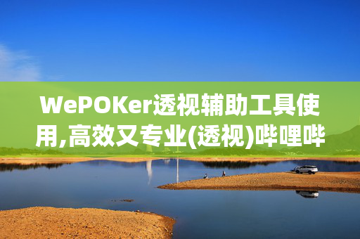 WePOKer透视辅助工具使用,高效又专业(透视)哔哩哔哩