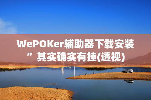 WePOKer辅助器下载安装”其实确实有挂(透视)