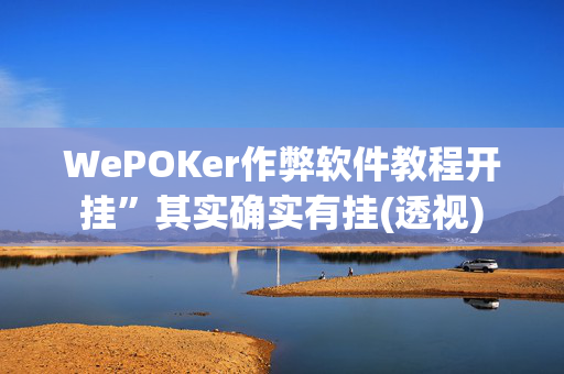 WePOKer作弊软件教程开挂”其实确实有挂(透视)