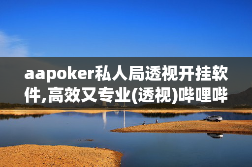 aapoker私人局透视开挂软件,高效又专业(透视)哔哩哔哩