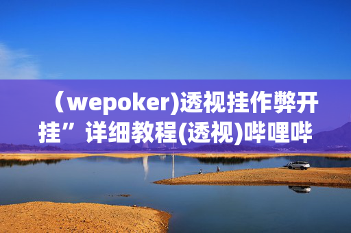 （wepoker)透视挂作弊开挂”详细教程(透视)哔哩哔哩