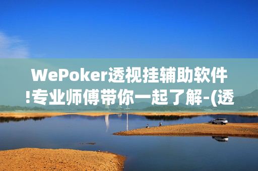 WePoker透视挂辅助软件!专业师傅带你一起了解-(透视)