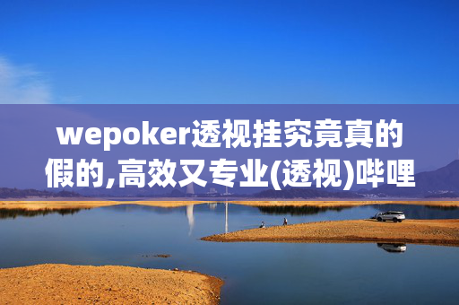 wepoker透视挂究竟真的假的,高效又专业(透视)哔哩哔哩