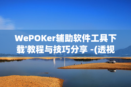 WePOKer辅助软件工具下载'教程与技巧分享 -(透视)