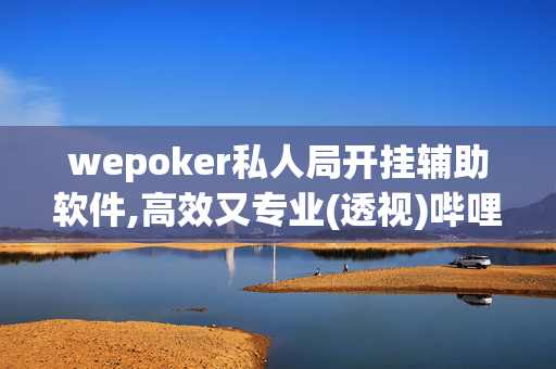 wepoker私人局开挂辅助软件,高效又专业(透视)哔哩哔哩