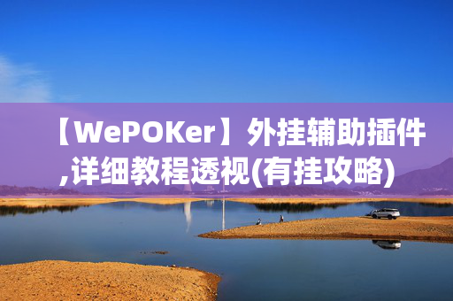 【WePOKer】外挂辅助插件,详细教程透视(有挂攻略)-第1张图片-KXQV开挂