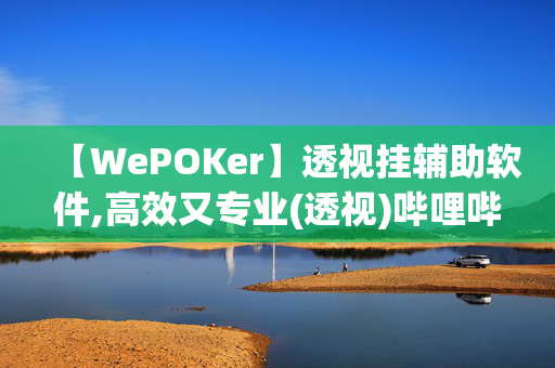 【WePOKer】透视挂辅助软件,高效又专业(透视)哔哩哔哩