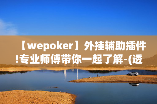 【wepoker】外挂辅助插件!专业师傅带你一起了解-(透视)