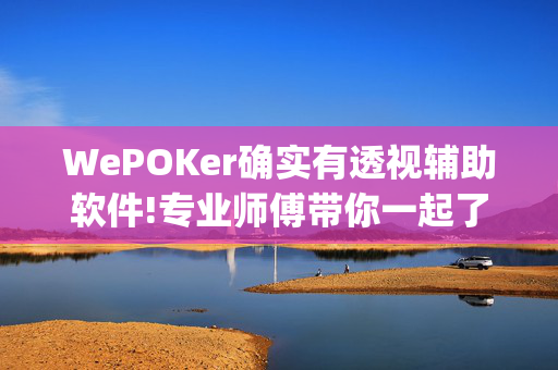 WePOKer确实有透视辅助软件!专业师傅带你一起了解-(透视)