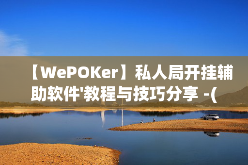 【WePOKer】私人局开挂辅助软件'教程与技巧分享 -(透视)