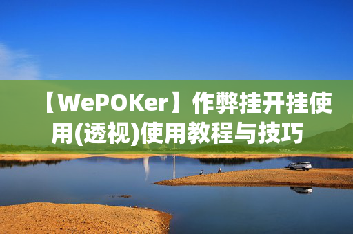 【WePOKer】作弊挂开挂使用(透视)使用教程与技巧