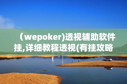 （wepoker)透视辅助软件挂,详细教程透视(有挂攻略)-第1张图片-KXQV开挂