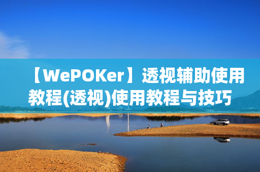 【WePOKer】透视辅助使用教程(透视)使用教程与技巧