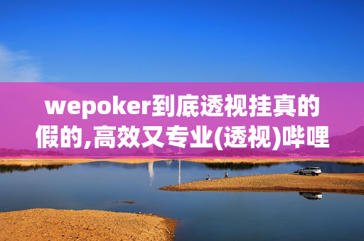 wepoker到底透视挂真的假的,高效又专业(透视)哔哩哔哩