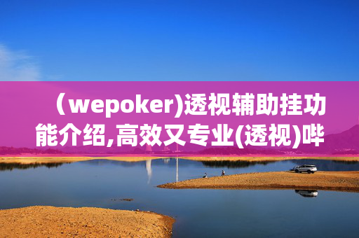 （wepoker)透视辅助挂功能介绍,高效又专业(透视)哔哩哔哩-第1张图片-KXQV开挂