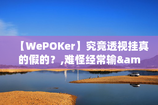 【WePOKer】究竟透视挂真的假的？,难怪经常输&@2024-(辅助)