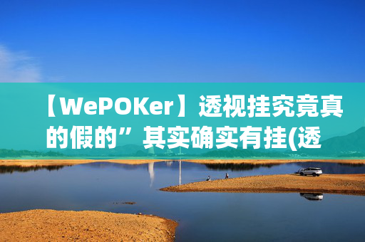 【WePOKer】透视挂究竟真的假的”其实确实有挂(透视)