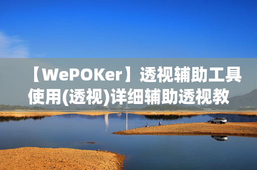 【WePOKer】透视辅助工具使用(透视)详细辅助透视教程