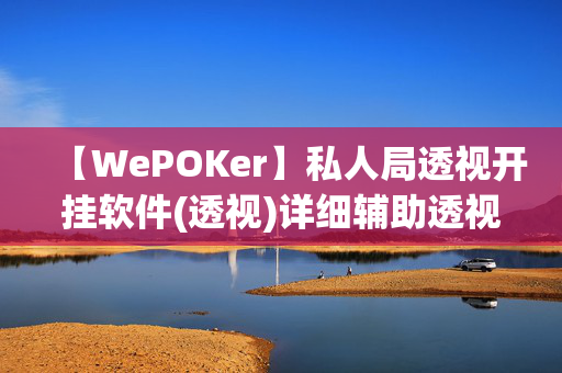 【WePOKer】私人局透视开挂软件(透视)详细辅助透视教程