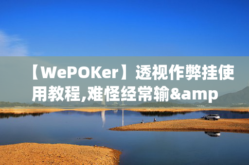 【WePOKer】透视作弊挂使用教程,难怪经常输&@2024,哔哩哔哩