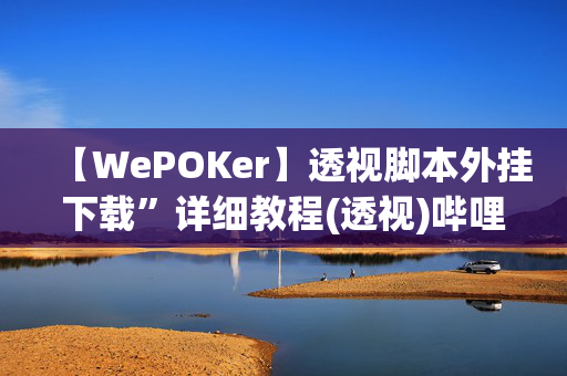 【WePOKer】透视脚本外挂下载”详细教程(透视)哔哩哔哩