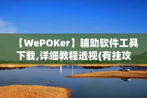 【WePOKer】辅助软件工具下载,详细教程透视(有挂攻略)