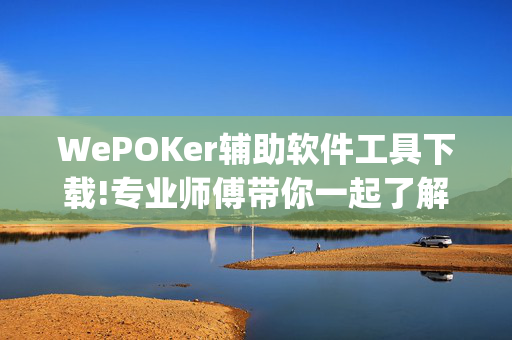 WePOKer辅助软件工具下载!专业师傅带你一起了解(辅助)