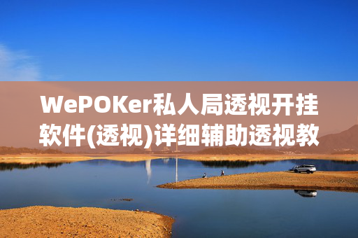 WePOKer私人局透视开挂软件(透视)详细辅助透视教程